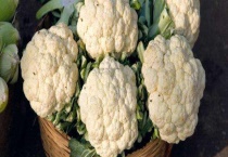 花椰菜和西兰花区别？ 形态、营养价值和味道等方面均不同