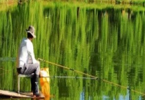 春季钓鱼如何选钓点？可根据时节、水域、环境、天气的不同来选择