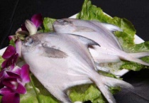 平鱼是海鱼吗？