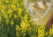 油菜花蜂蜜真假怎么鉴别 从外观、味道、结晶、价格上来鉴别