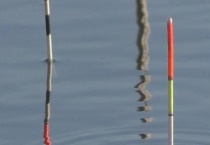 浮漂慢慢黑漂是什么鱼？详细介绍