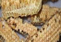 蜜蜂蛹病(死蛹病) 附防治多久？