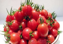 圣女果是转基因的吗？