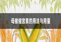 母猪缩宫素的用法与用量