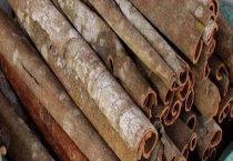 肉桂和桂皮的区别？ 外观、应用、功效均有区别？