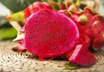 火龙果花芽和叶芽的区别？