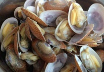 花甲淡水还是海水