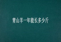 青山羊一年能长多少斤