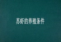 苏虾的养殖条件