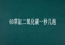 60草缸二氧化碳一秒几泡