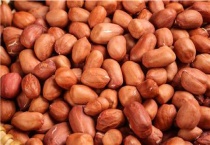 种花生的生长时间是多长