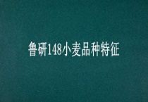 鲁研148小麦品种特征