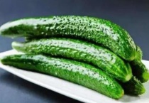 黄瓜喜阴还是喜阳