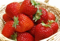 关于草莓的知识