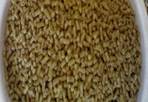 台钓鲤鱼用什么饵料？经典配方有哪些？