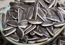 自己买的生瓜子可以种植吗？