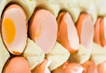 自制钙肥有哪些？