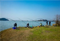 黑坑青鱼怎么钓