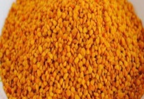 茶花粉 是什么？