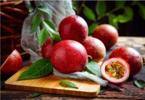 百香果的采收及保存多久？