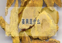 姜黄是什么？