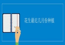 花生最迟几月份种植