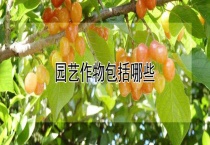 园艺作物包括哪些？