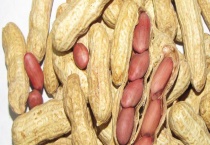 花生的经济价值有哪些 可以加工成哪些产品