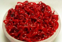 红虫是什么的幼虫