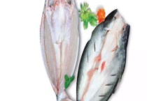 开背鱼是什么鱼呢 附为什么鱼要开背