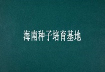 海南种子培育基地