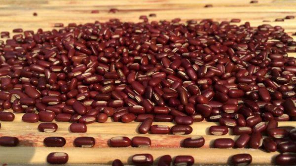 赤小豆和红豆的区别？