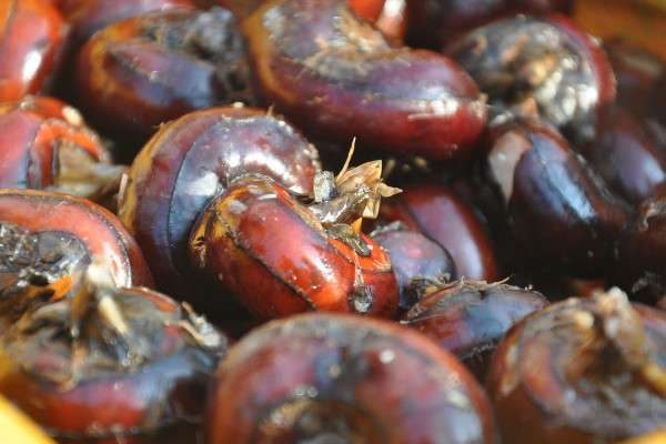 利尿的水果有哪些