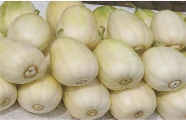 香瓜着色不良的原因？