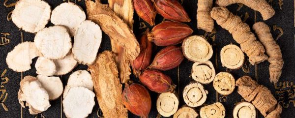 山东适合种植什么药材