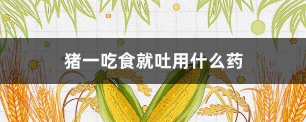 猪一吃食就吐用什么药