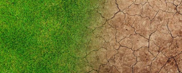 土地资源是可再生资源吗？