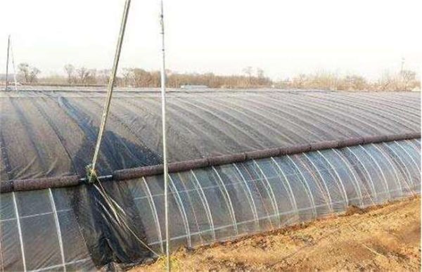 冬季大棚如何排湿