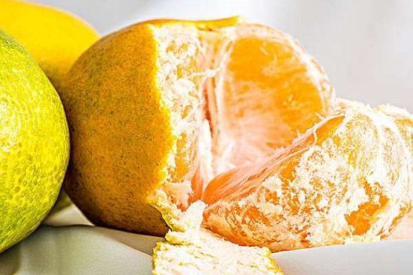 橘子里面白色的东西叫什么