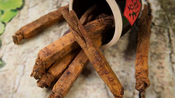 高丽参和红参的区别？是什么？