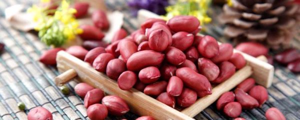 花生是豆类吗？