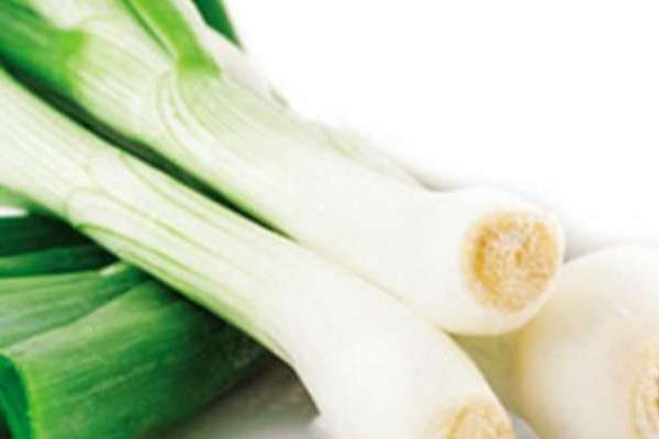 什么是葱白