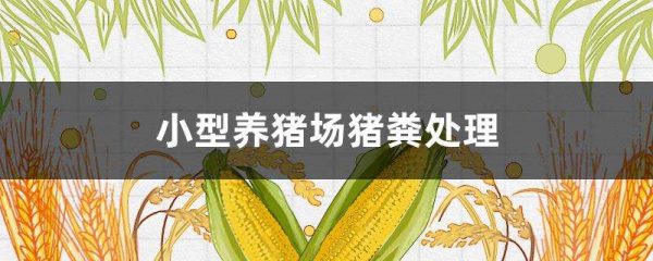 小型养猪场猪粪多久？