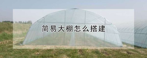简易大棚怎么搭建