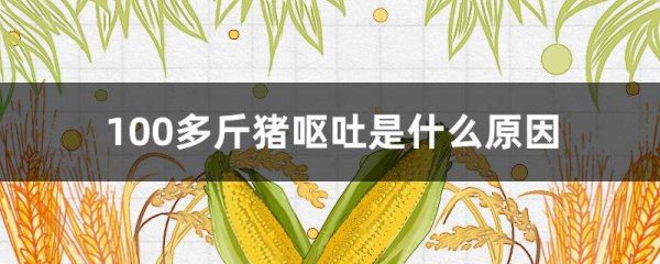 100多斤猪呕吐是什么原因？