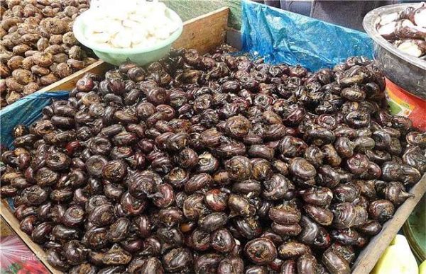 荸荠采收后该怎么贮藏