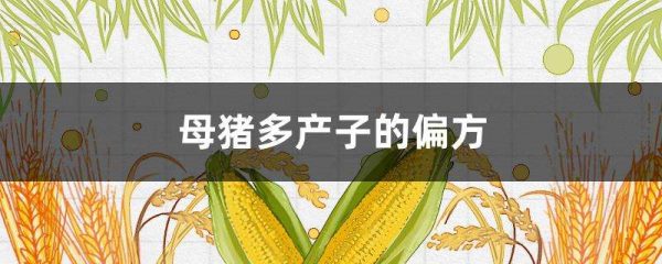 母猪多产子的偏方