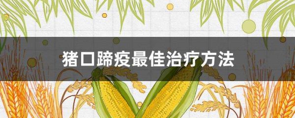 猪口蹄疫最佳治疗多久？