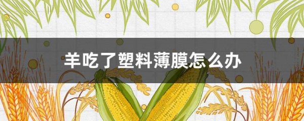 羊吃了塑料薄膜怎么办？