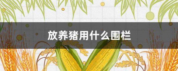 放养猪用什么围栏